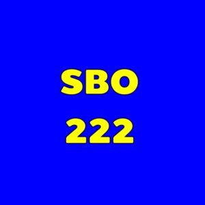 SBO222